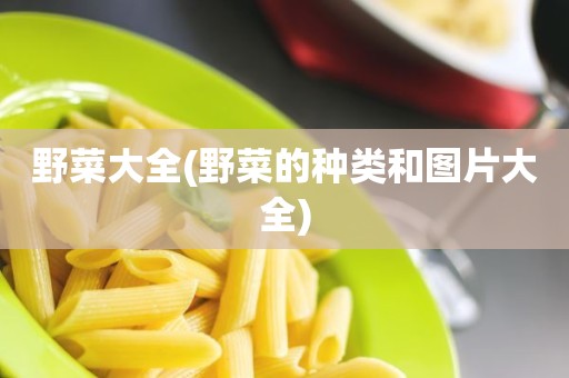 野菜大全(野菜的种类和图片大全)