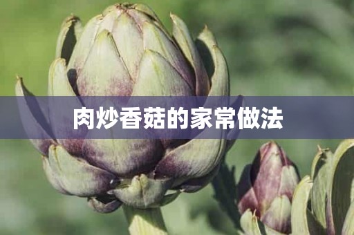 肉炒香菇的家常做法