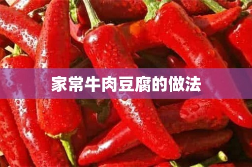 家常牛肉豆腐的做法