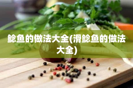 鲶鱼的做法大全(滑鲶鱼的做法大全)