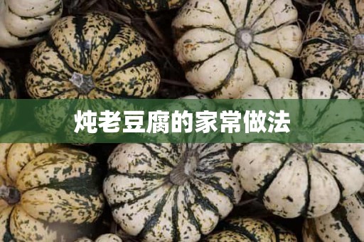 炖老豆腐的家常做法