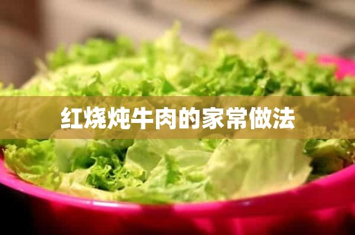 红烧炖牛肉的家常做法