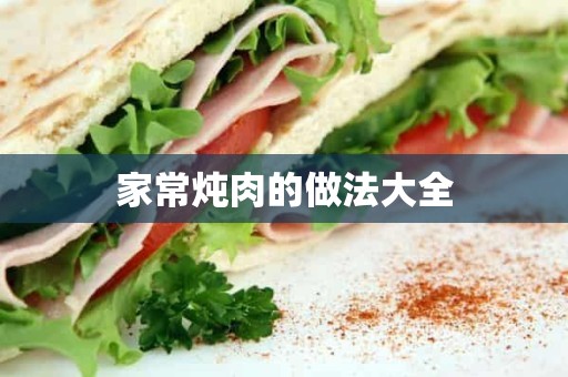 家常炖肉的做法大全