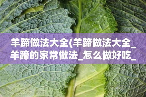 羊蹄做法大全(羊蹄做法大全_羊蹄的家常做法_怎么做好吃_美食天下)