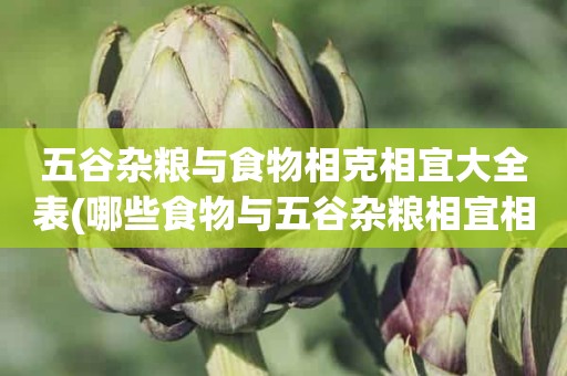 五谷杂粮与食物相克相宜大全表(哪些食物与五谷杂粮相宜相克)