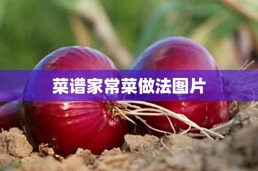 菜谱家常菜做法图片