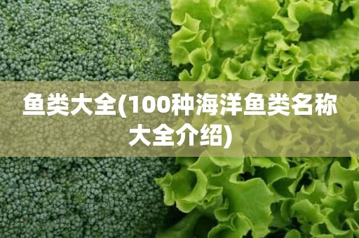 鱼类大全(100种海洋鱼类名称大全介绍)