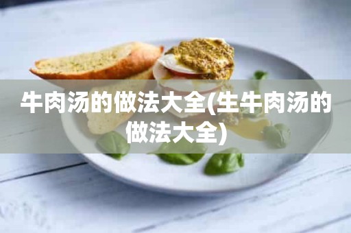 牛肉汤的做法大全(生牛肉汤的做法大全)