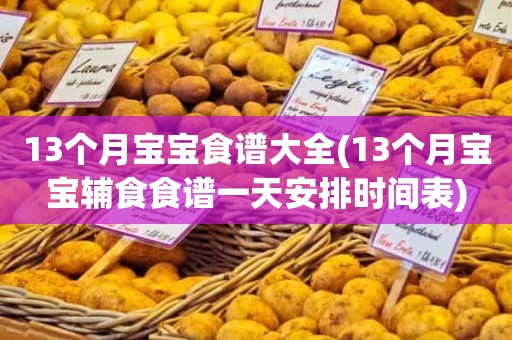 13个月宝宝食谱大全(13个月宝宝辅食食谱一天安排时间表)