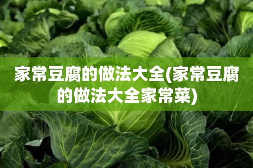 家常豆腐的做法大全(家常豆腐的做法大全家常菜)