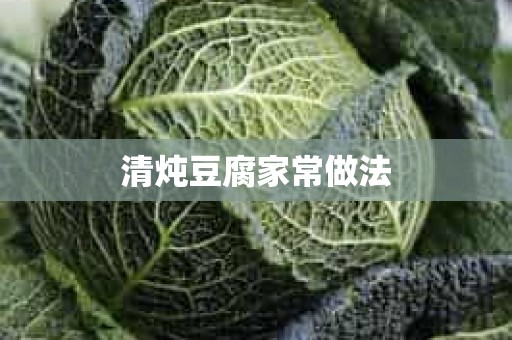 清炖豆腐家常做法