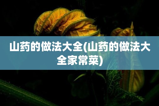 山药的做法大全(山药的做法大全家常菜)