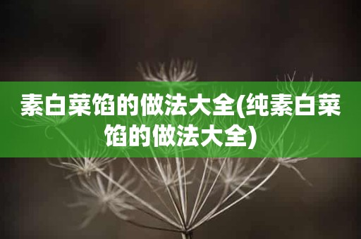 素白菜馅的做法大全(纯素白菜馅的做法大全)