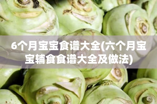 6个月宝宝食谱大全(六个月宝宝辅食食谱大全及做法)