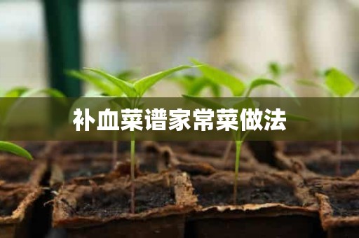 补血菜谱家常菜做法