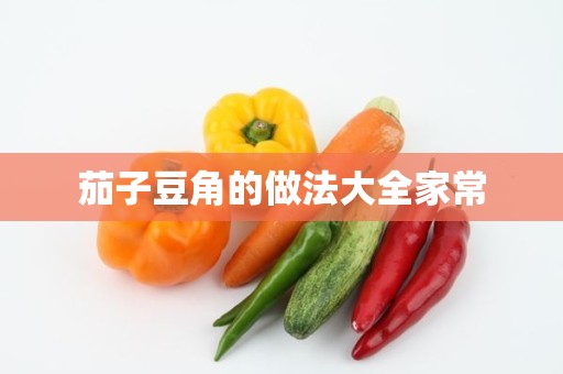 茄子豆角的做法大全家常