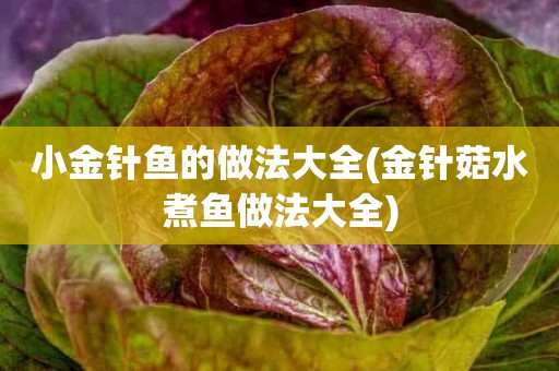 小金针鱼的做法大全(金针菇水煮鱼做法大全)