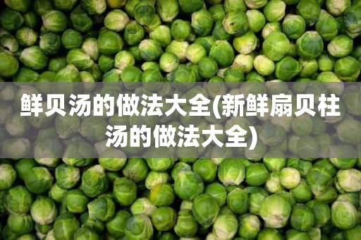 鲜贝汤的做法大全(新鲜扇贝柱汤的做法大全)