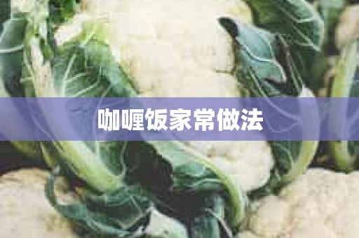 咖喱饭家常做法