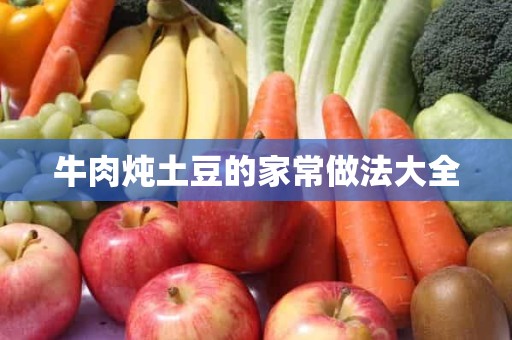 牛肉炖土豆的家常做法大全