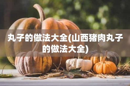 丸子的做法大全(山西猪肉丸子的做法大全)