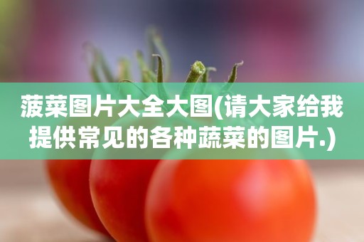 菠菜图片大全大图(请大家给我提供常见的各种蔬菜的图片.)