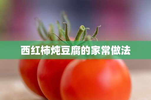 西红柿炖豆腐的家常做法