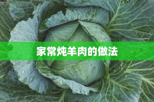 家常炖羊肉的做法