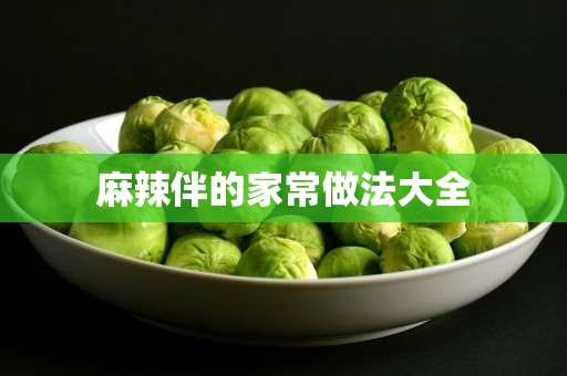 麻辣伴的家常做法大全