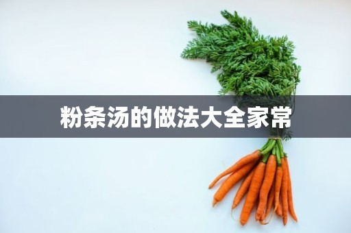 粉条汤的做法大全家常