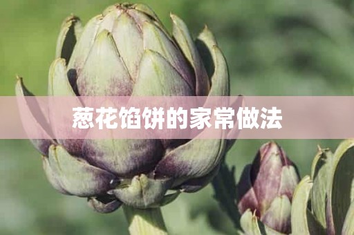 葱花馅饼的家常做法