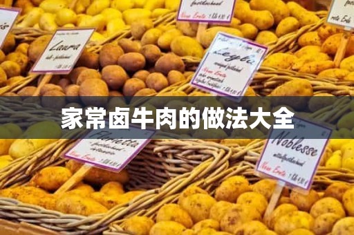 家常卤牛肉的做法大全