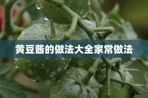 黄豆酱的做法大全家常做法