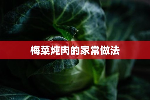 梅菜炖肉的家常做法