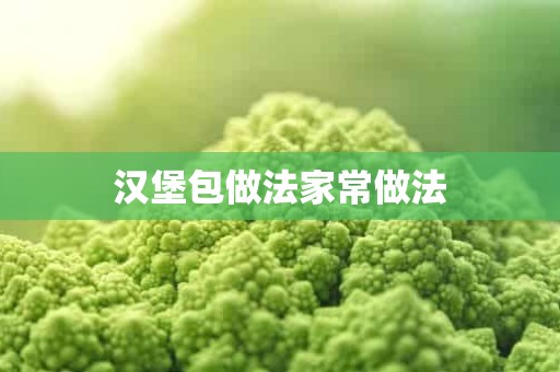 汉堡包做法家常做法