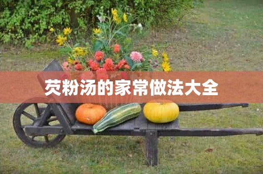 芡粉汤的家常做法大全