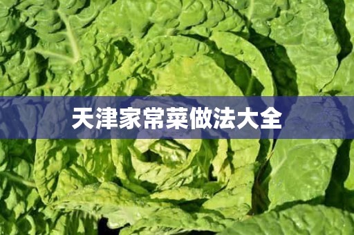 天津家常菜做法大全