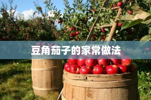 豆角茄子的家常做法