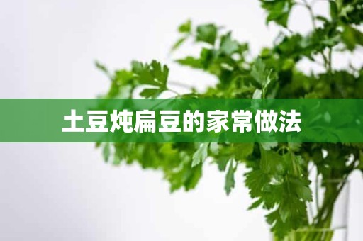 土豆炖扁豆的家常做法