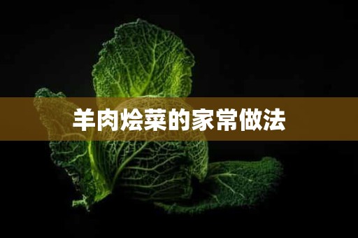 羊肉烩菜的家常做法