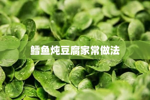 鳕鱼炖豆腐家常做法