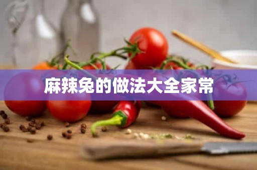 麻辣兔的做法大全家常