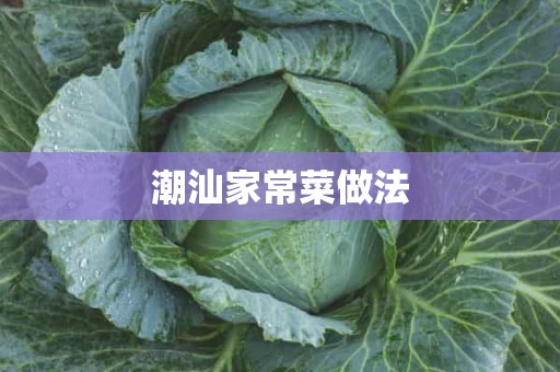 潮汕家常菜做法