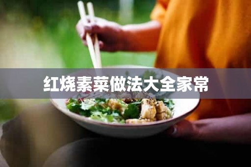 红烧素菜做法大全家常