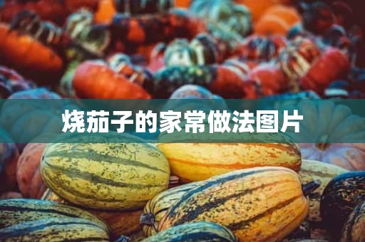 烧茄子的家常做法图片