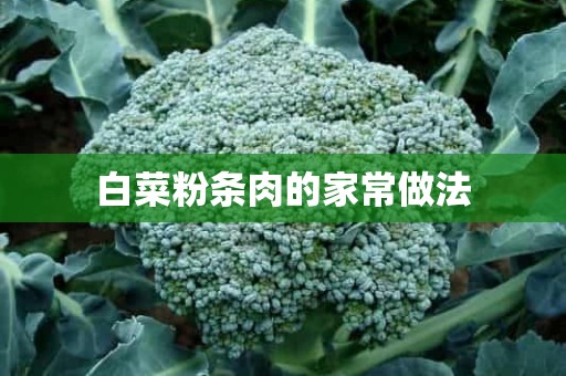 白菜粉条肉的家常做法