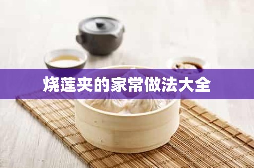 烧莲夹的家常做法大全