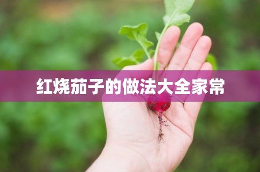 红烧茄子的做法大全家常