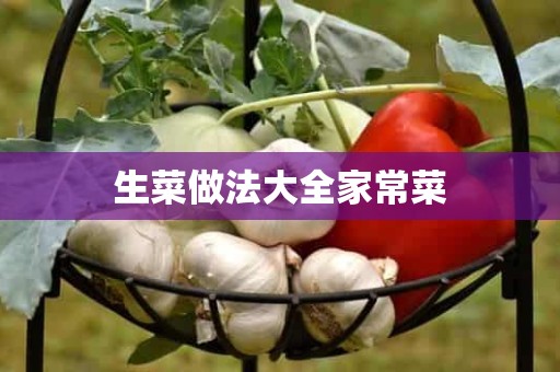 生菜做法大全家常菜