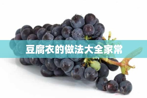 豆腐衣的做法大全家常